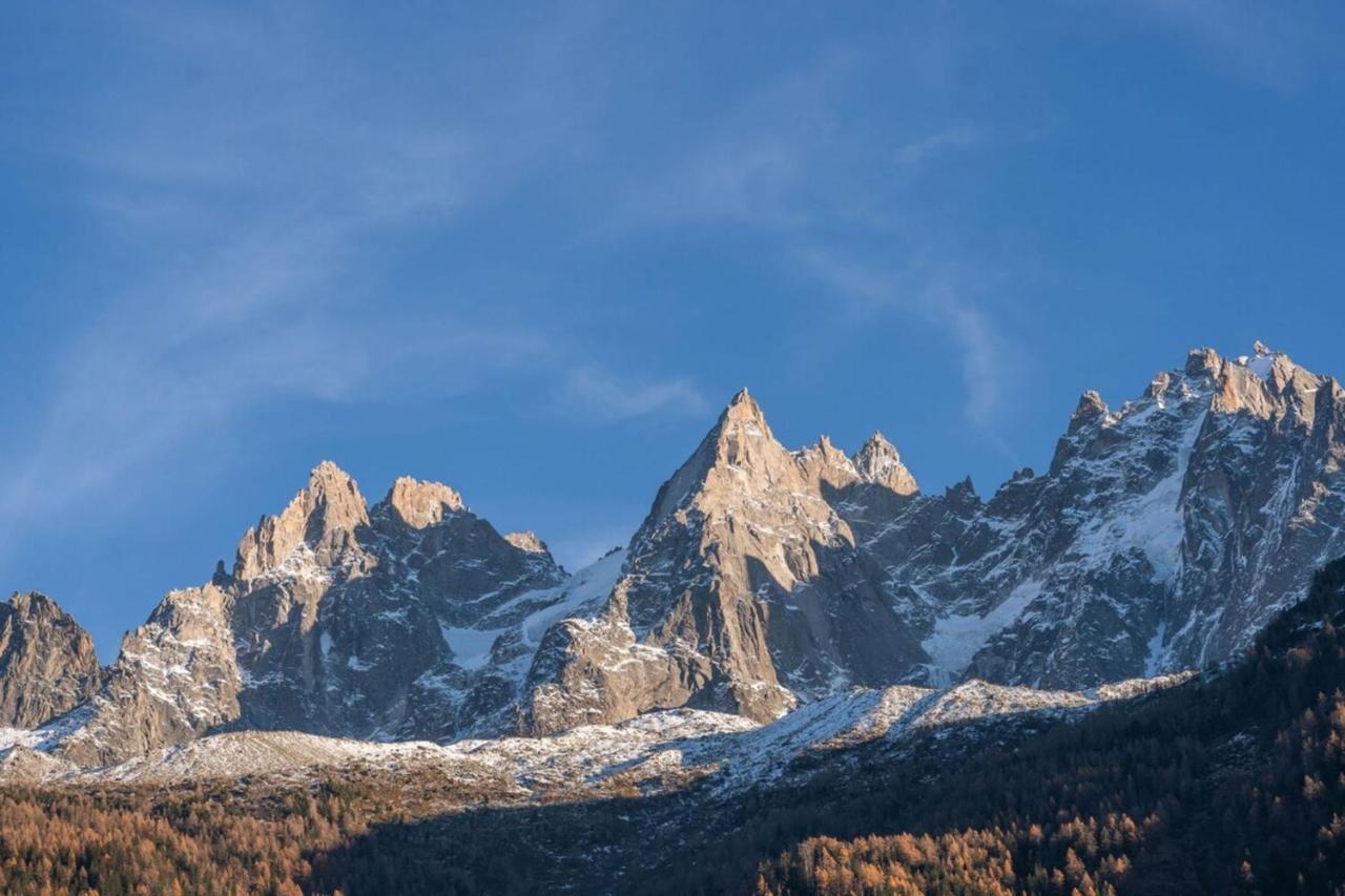 Portes Du Brevent -1 Bedroom Apartment With Magnificient Mont Blanc Views Шамони Экстерьер фото